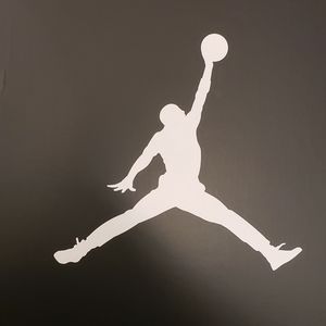 Air Jordan 5 Retro Oreo/Moonlight